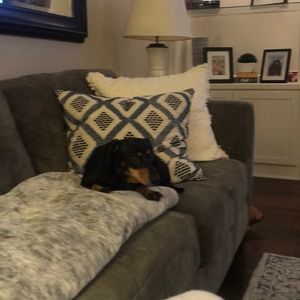 Meet your Posher, Ava